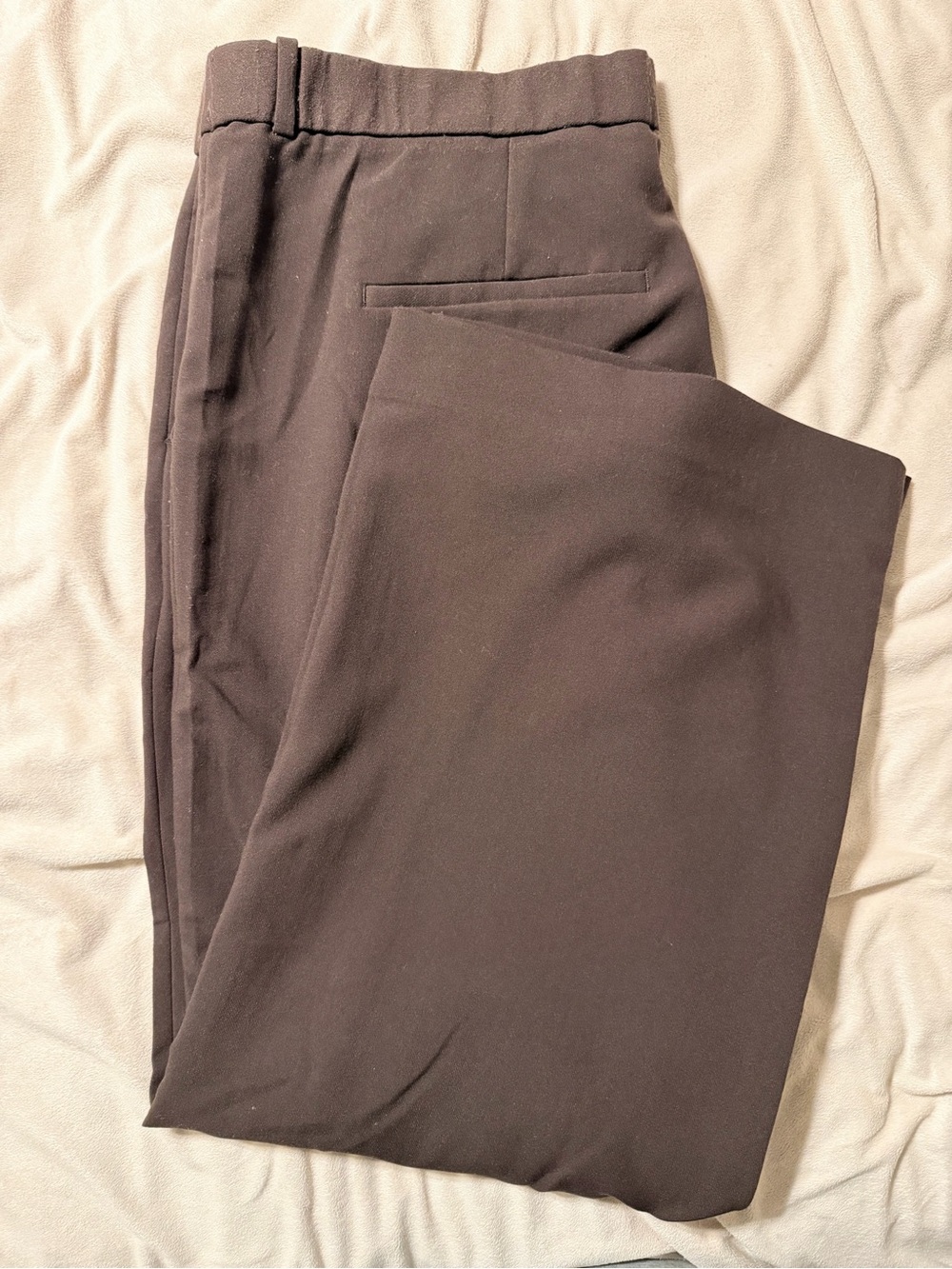 Coffee Brown Abercrombie Sloan Tailored Pants